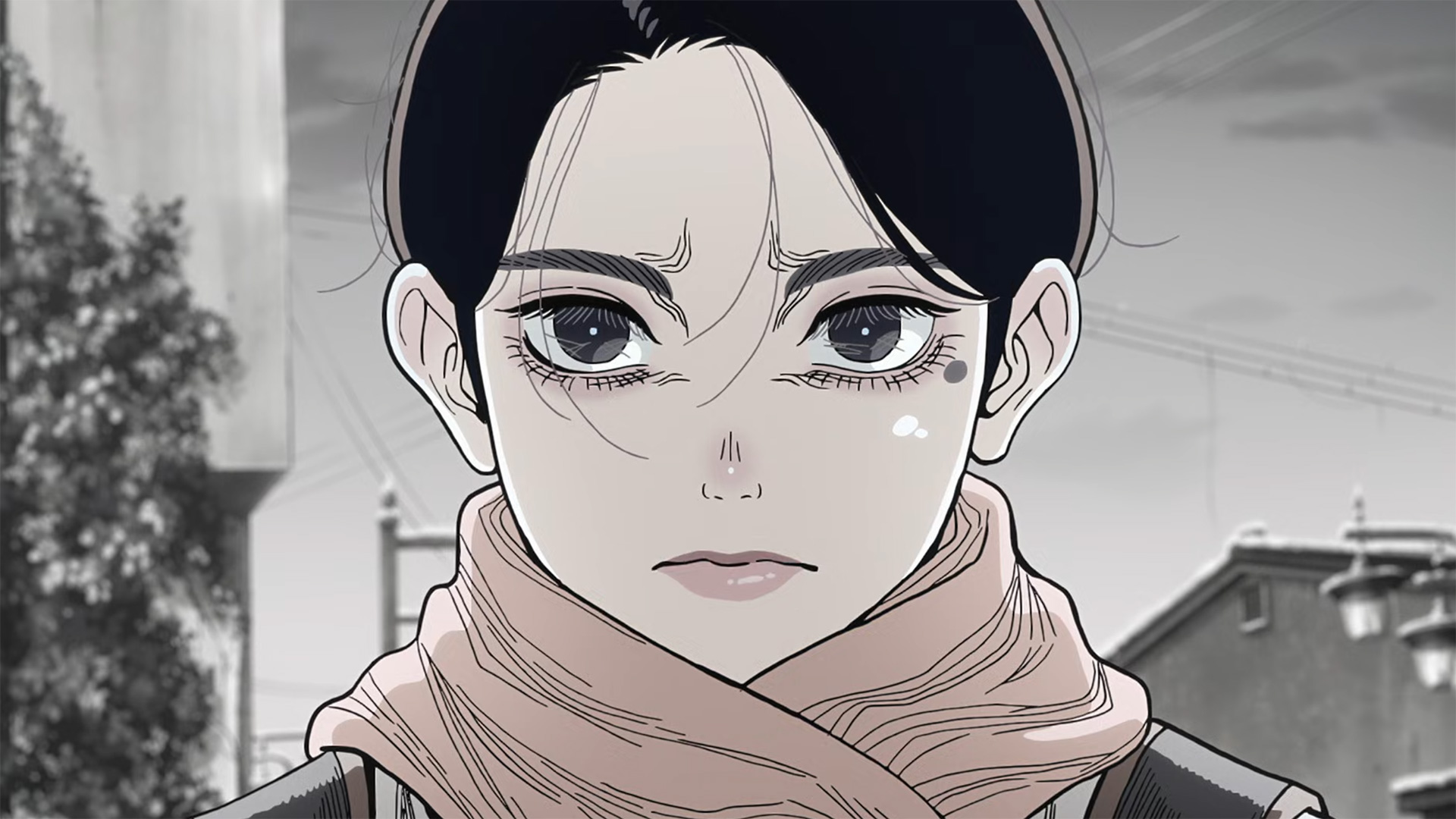 Nippon Sangoku anime 2026