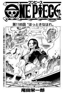 One Piece Chapter 1186: Shocking Theory About Domi Reversi and the World Government’s Darkest Secret