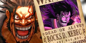One Piece Chapter 1195: Xebec’s Hidden Family Changes Everything — Blackbeard’s True Origin Revealed?