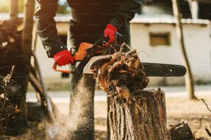 Chainsaw Man Season 2: Everything We Know — And Why Asa Mitaka Might Be the Best Protagonist of 2027
